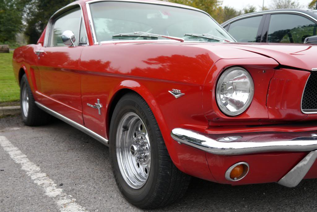 Name:  P1050225_zps3be84b5d.jpg
Views: 57
Size:  93.0 KB