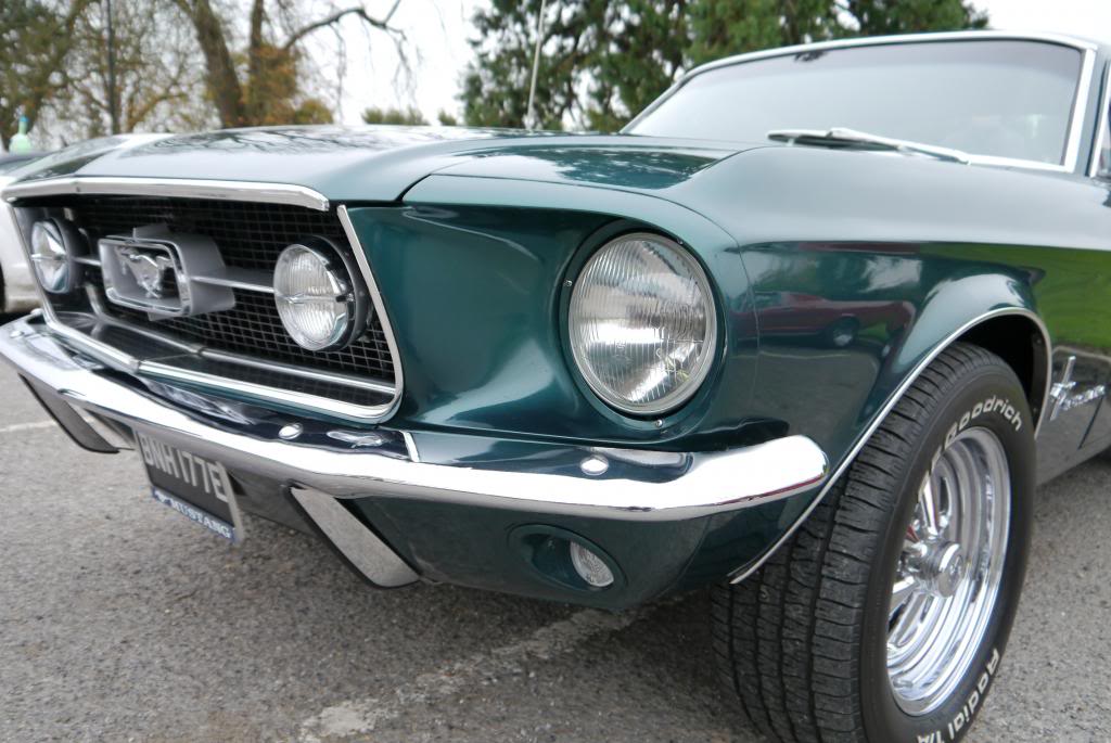 Name:  P1050224_zpsd67b4681.jpg
Views: 37
Size:  101.4 KB