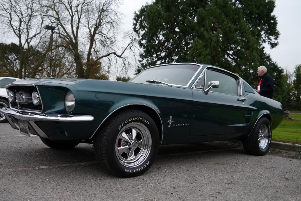 Name:  P1050223_zps06631aee.jpg
Views: 58
Size:  121.0 KB