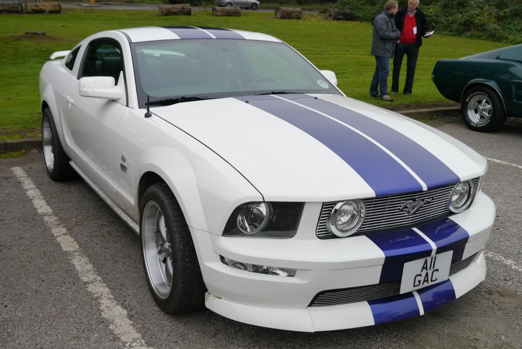 Name:  P1050230_zps0319f364.jpg
Views: 43
Size:  93.3 KB