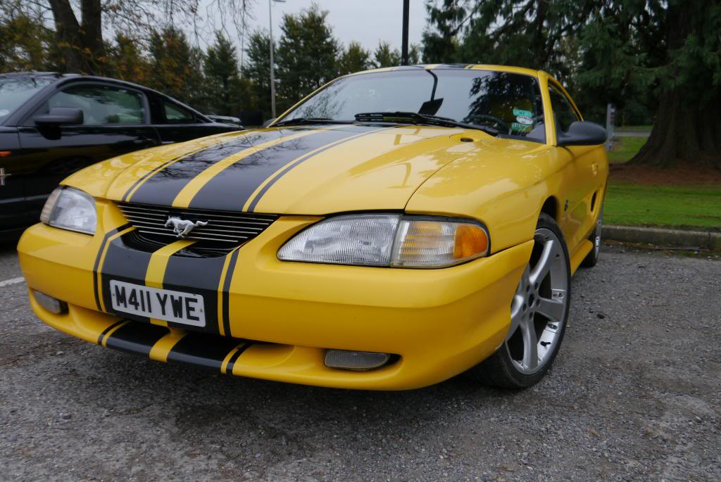 Name:  P1050232_zps1ff9f442.jpg
Views: 34
Size:  108.7 KB