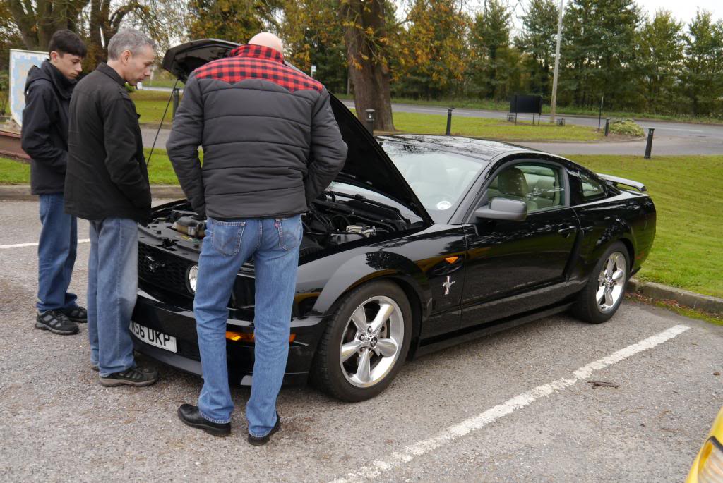 Name:  P1050235_zpsf1a0f0fd.jpg
Views: 59
Size:  128.2 KB