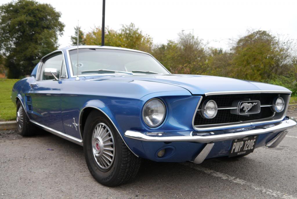 Name:  P1050242_zps2291e6e9.jpg
Views: 33
Size:  91.9 KB