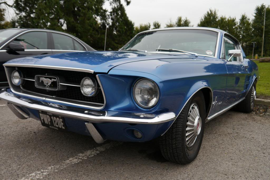 Name:  P1050243_zpsade776b1.jpg
Views: 60
Size:  100.8 KB