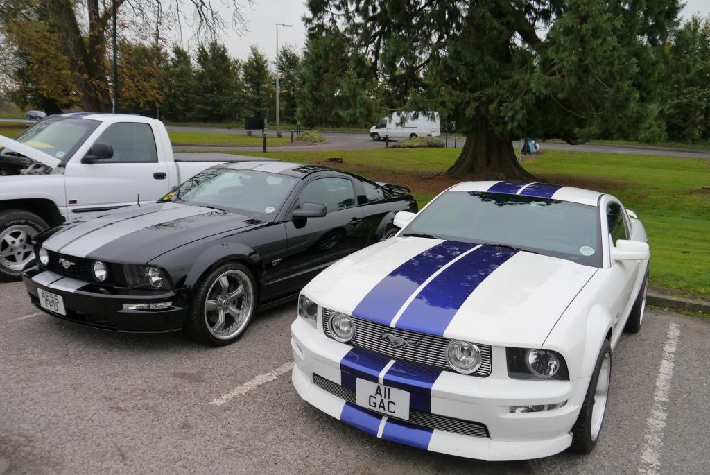 Name:  P1050241_zps9a3400d2.jpg
Views: 59
Size:  117.8 KB