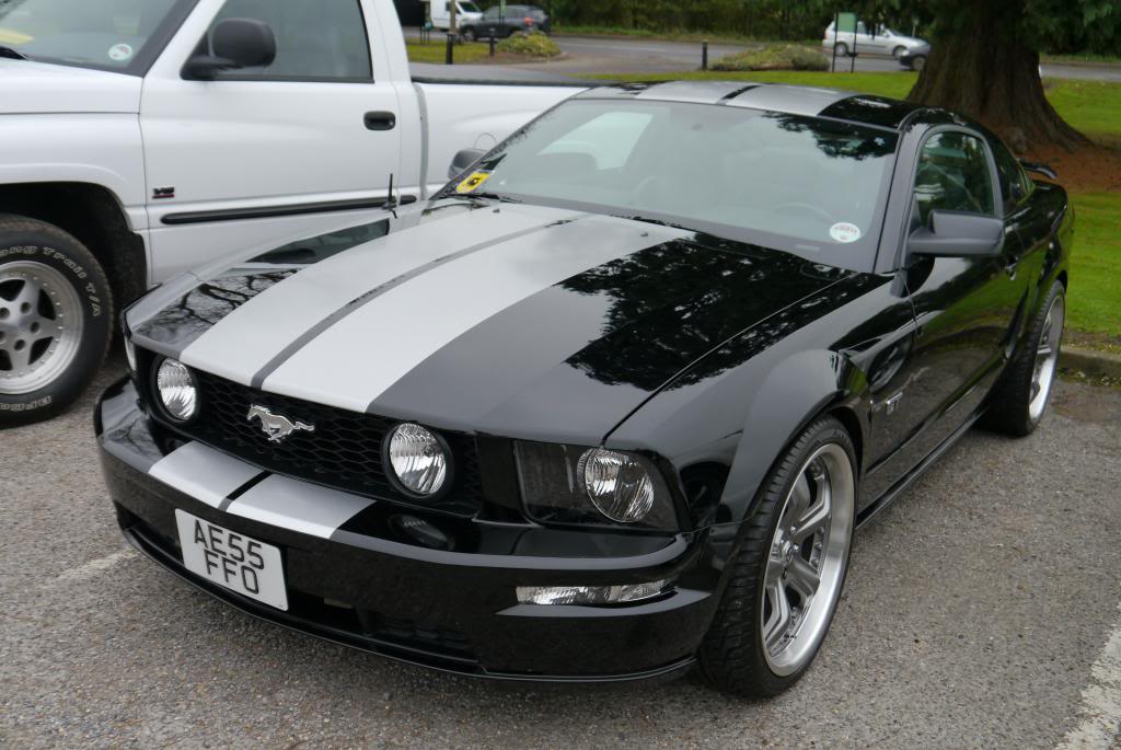 Name:  P1050229_zps8982c01a.jpg
Views: 58
Size:  98.0 KB