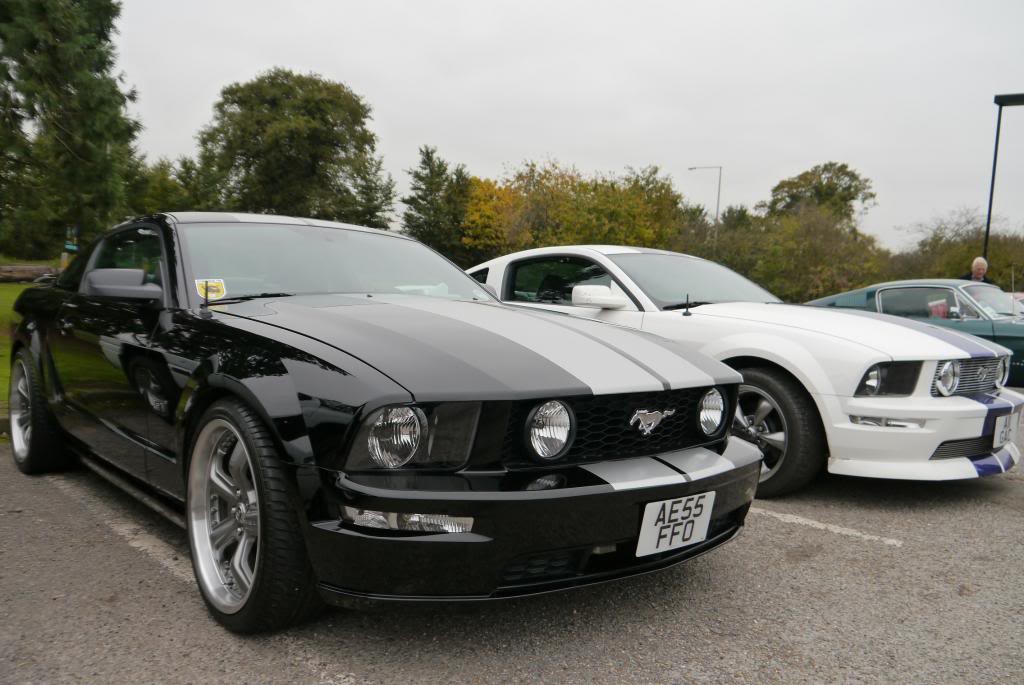 Name:  P1050237_zpsdf1495e1.jpg
Views: 60
Size:  90.7 KB