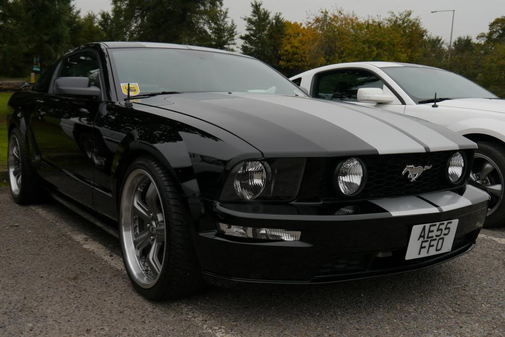 Name:  P1050238_zpsbc3a27de.jpg
Views: 74
Size:  88.9 KB