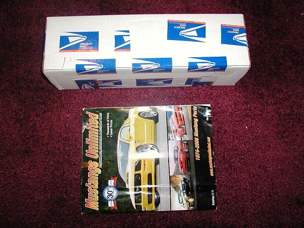 Ponies on The Run!-boxed.jpg