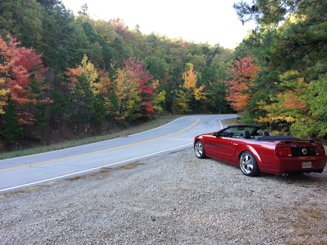 Name:  20131025_090138.jpg
Views: 58
Size:  221.7 KB