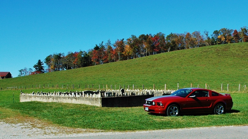 Name:  zDSC_2359800w_zps6f2734d8.jpg
Views: 108
Size:  328.5 KB