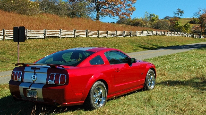 Name:  zBRP1020137800w_zps0e49b7bf.jpg
Views: 73
Size:  366.5 KB