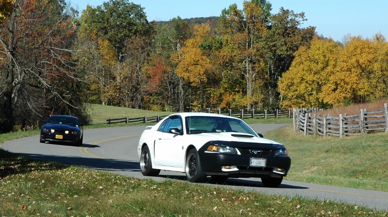 Name:  zBRP1020139800w_zps1beb273c.jpg
Views: 117
Size:  363.7 KB