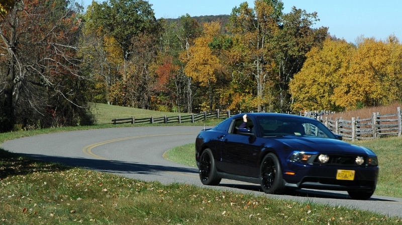 Name:  zBRP10201310800w_zpsa8e0bc52.jpg
Views: 133
Size:  354.8 KB