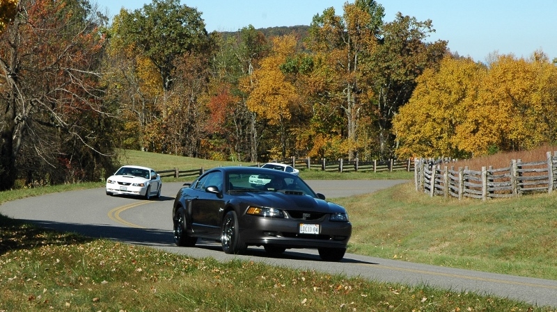 Name:  zBRP10201312800w_zpsb53eaa40.jpg
Views: 100
Size:  364.9 KB