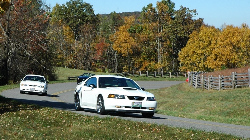 Name:  zBRP10201313800w_zpsc808152b.jpg
Views: 74
Size:  363.1 KB