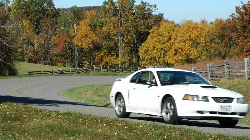 Name:  zBRP10201318800w_zpscf145821.jpg
Views: 106
Size:  352.0 KB