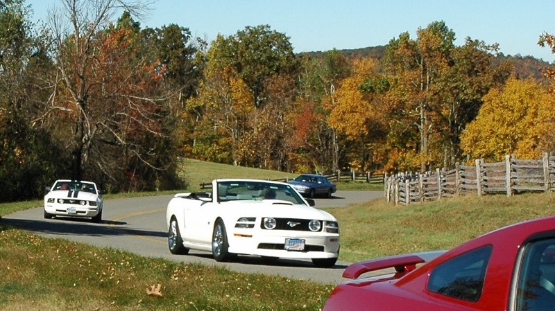 Name:  zBRP10201321800w_zpsdac6eb4c.jpg
Views: 112
Size:  321.3 KB