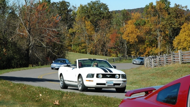 Name:  zBRP10201322800w_zps821280a8.jpg
Views: 111
Size:  352.4 KB