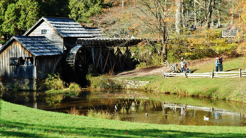 Name:  zDSC_2482800w_zps478ecbe7.jpg
Views: 70
Size:  444.9 KB