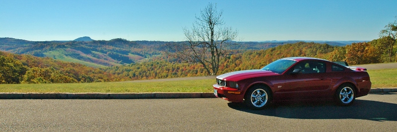 Name:  zDSC_2491800w2_zps8092a641.jpg
Views: 101
Size:  200.1 KB