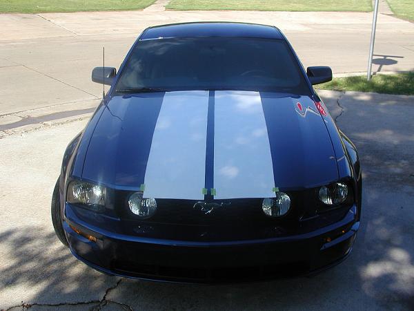 Ponies on The Run!-billweb-1.jpg