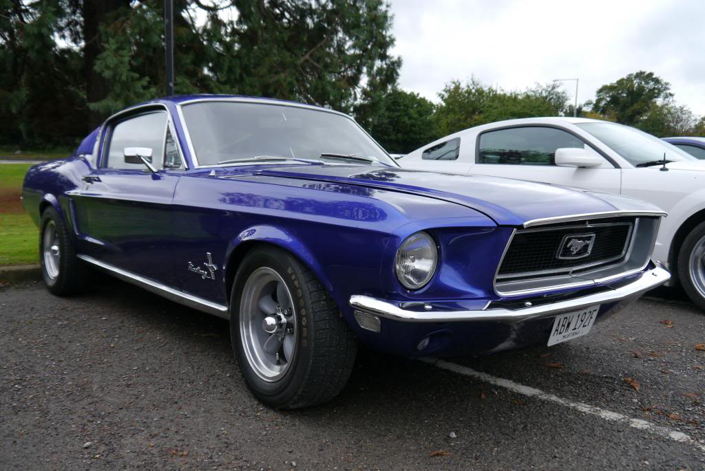 Name:  P1050139_zps1bc1e1f5.jpg
Views: 118
Size:  105.6 KB