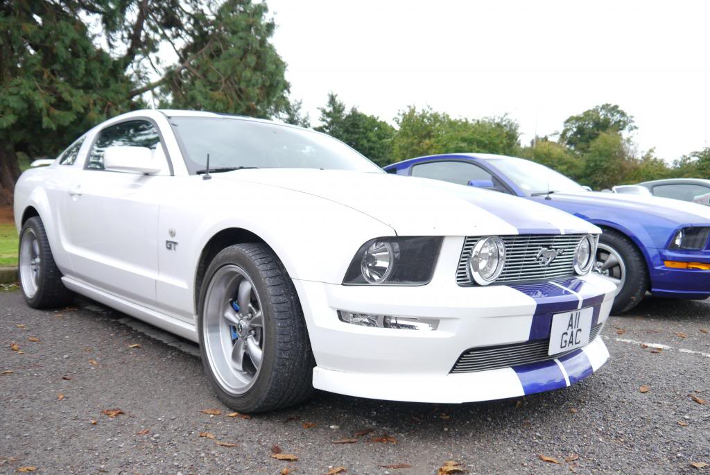 Name:  P1050140_zpscd3839c9.jpg
Views: 55
Size:  103.7 KB