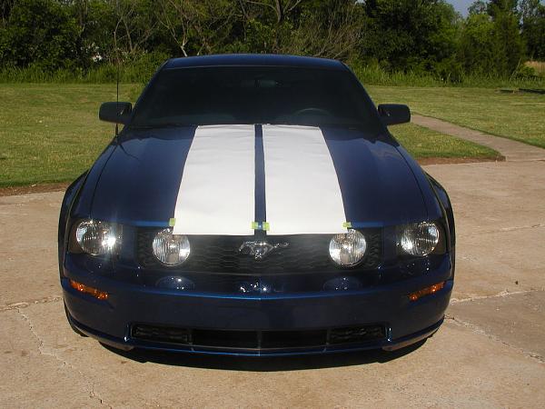 Ponies on The Run!-billweb-2.jpg