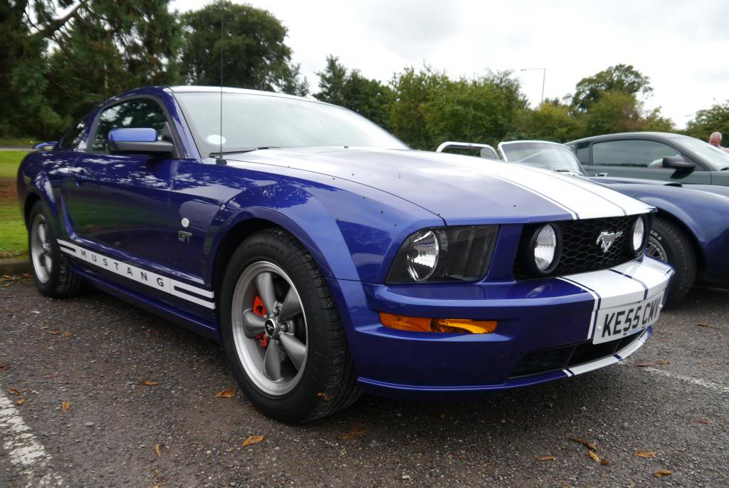 Name:  P1050141_zps91ad8da4.jpg
Views: 64
Size:  110.5 KB