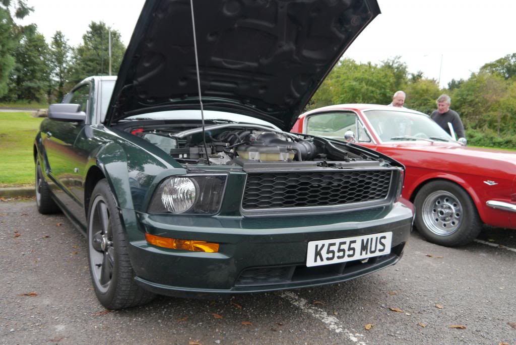 Name:  P1050144_zpsed64be3a.jpg
Views: 83
Size:  107.0 KB