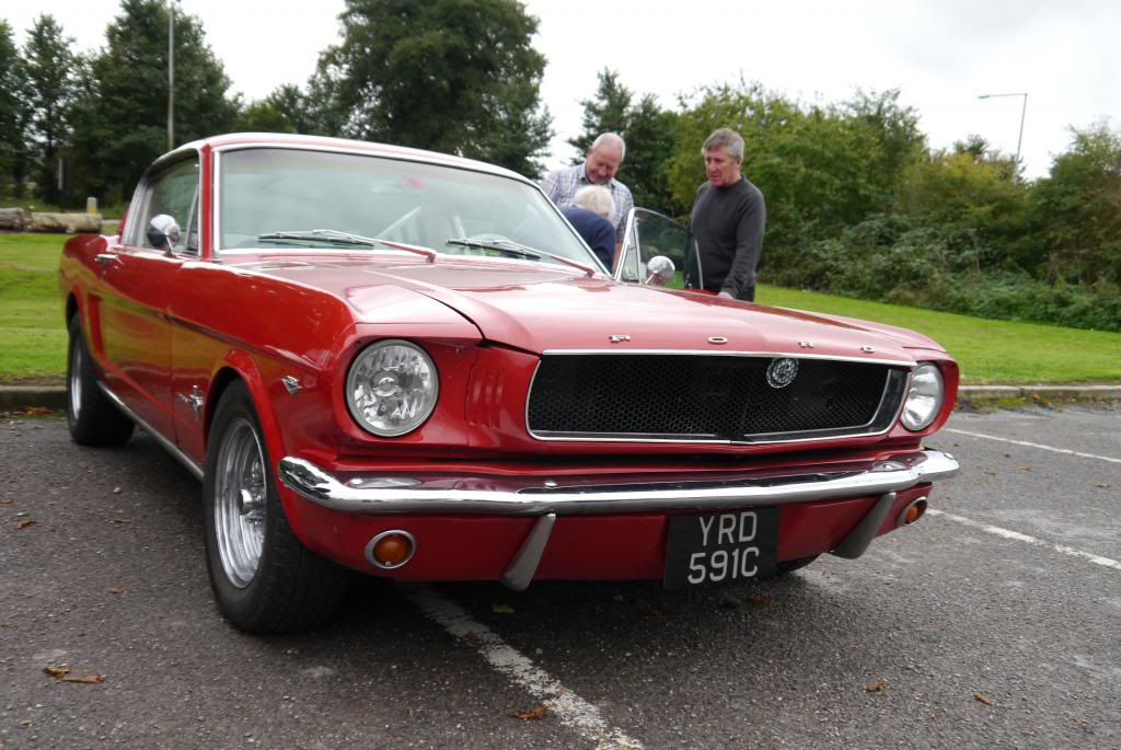 Name:  P1050145_zps972f223c.jpg
Views: 81
Size:  110.7 KB