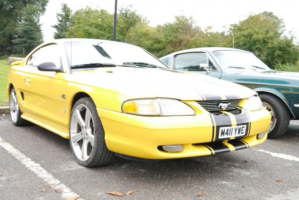 Name:  P1050146_zps1cb926ee.jpg
Views: 48
Size:  107.2 KB