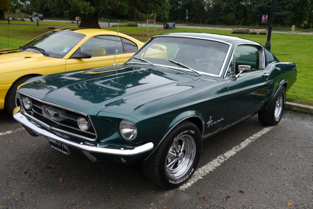 Name:  P1050147_zps64280ea8.jpg
Views: 90
Size:  118.3 KB