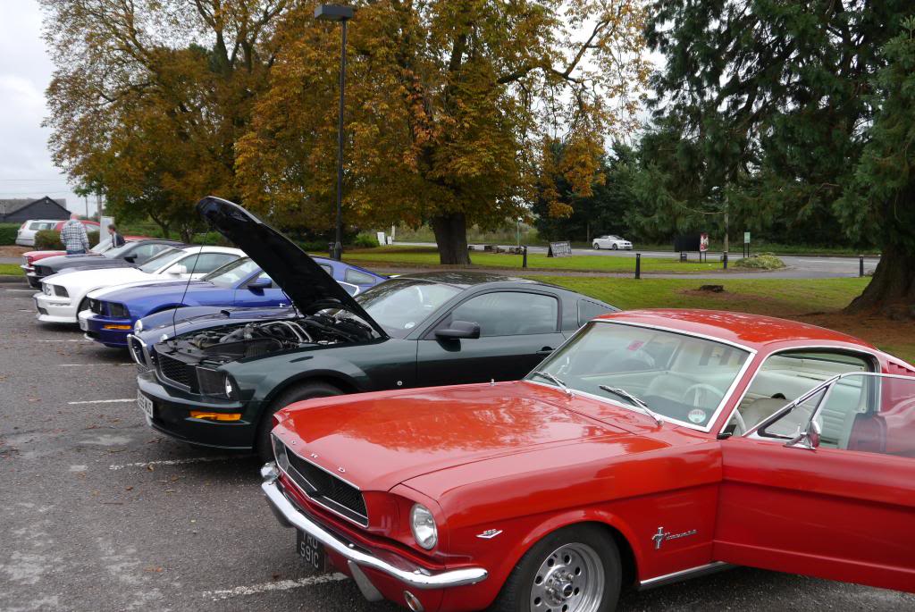 Name:  P1050148_zps21b49ede.jpg
Views: 43
Size:  143.9 KB