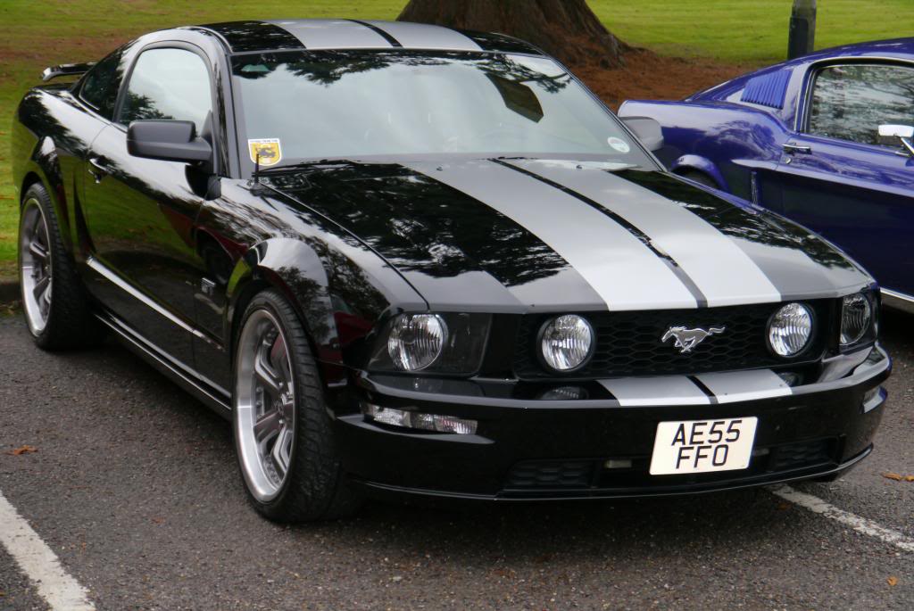 Name:  P1050159_zps8cf299b5.jpg
Views: 46
Size:  102.5 KB