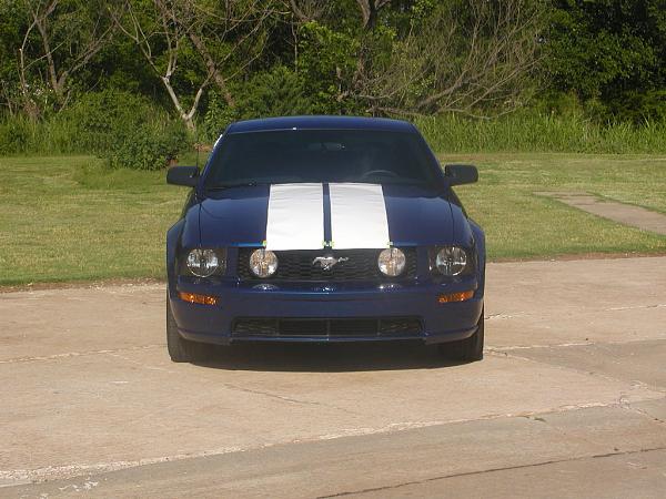 Ponies on The Run!-billweb-3.jpg