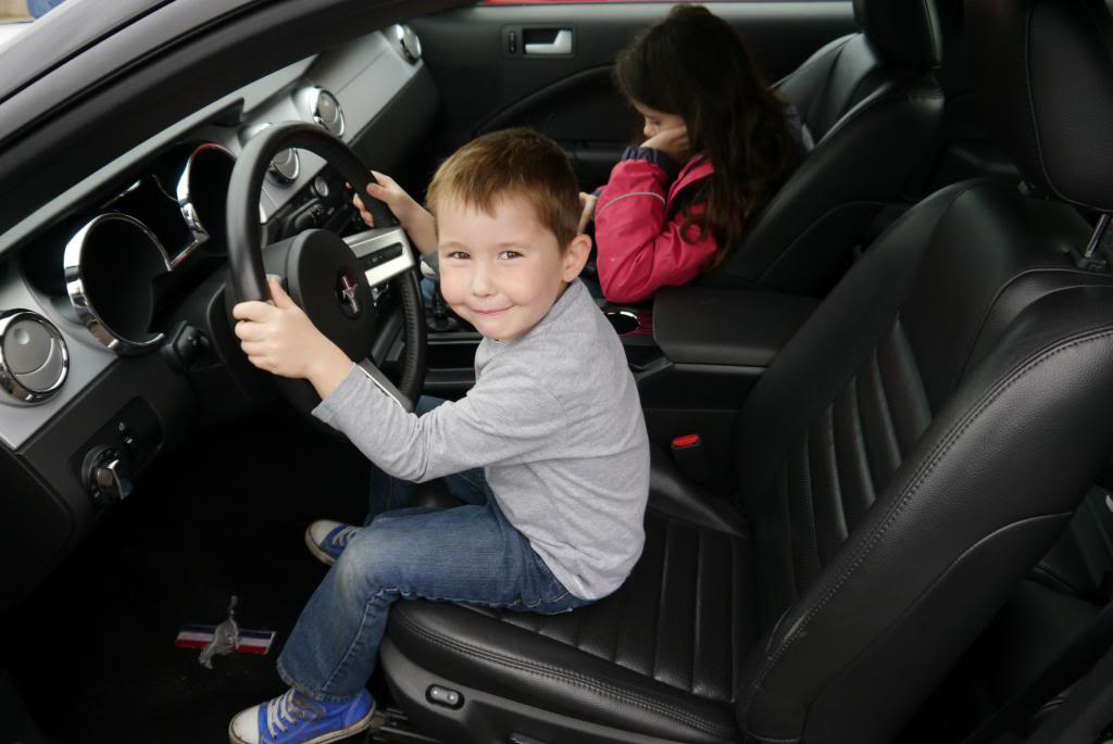 Name:  P1050150_zpsa99ba503.jpg
Views: 36
Size:  63.1 KB