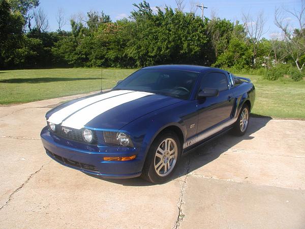 Ponies on The Run!-billweb-4.jpg