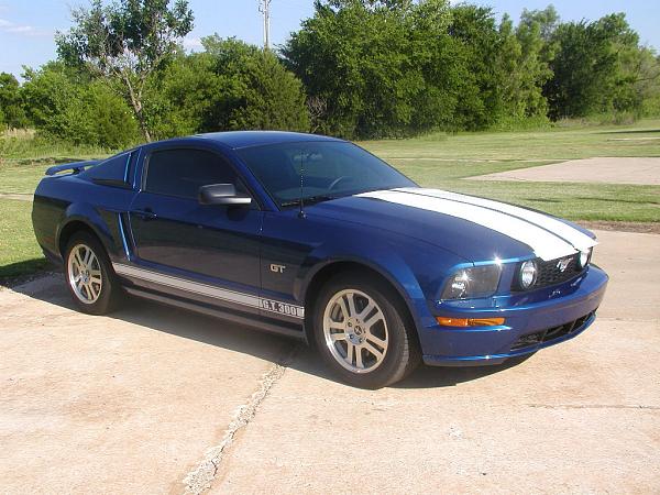 Ponies on The Run!-billweb-5.jpg