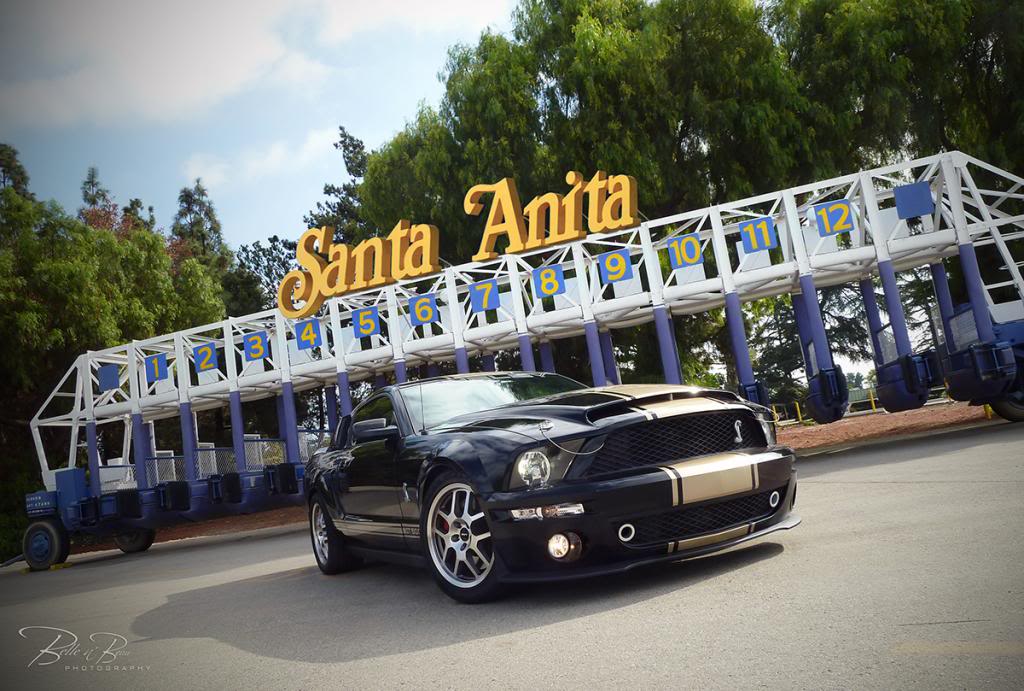 Name:  gateBre_zps4f344b64.jpg
Views: 327
Size:  131.7 KB