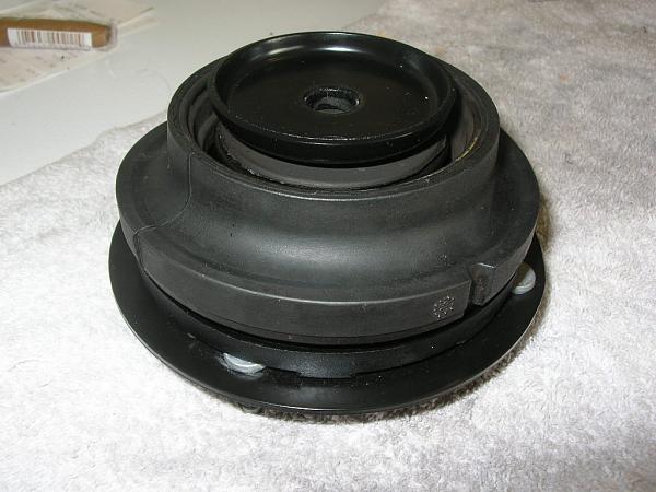 Ponies on The Run!-dscn3414.jpg