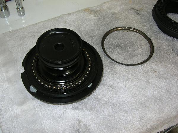 Ponies on The Run!-dscn3417.jpg