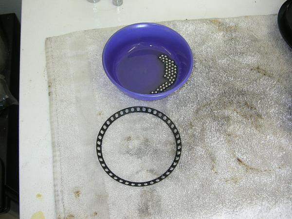 Ponies on The Run!-dscn3418.jpg