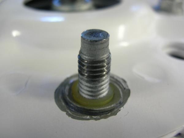 Ponies on The Run!-dscn3412.jpg