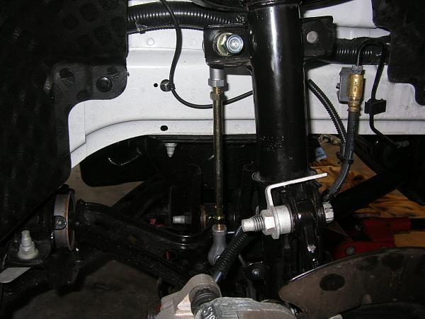 Ponies on The Run!-dscn3422.jpg