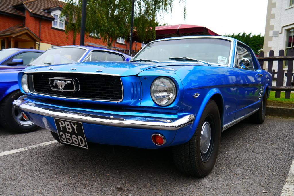 Name:  P1050062_zps279d59b4.jpg
Views: 117
Size:  124.3 KB