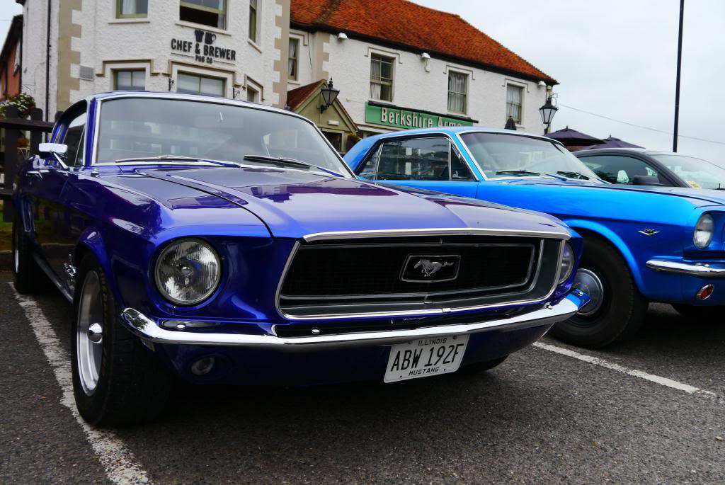 Name:  P1050063_zps5ba1d79f.jpg
Views: 103
Size:  109.6 KB