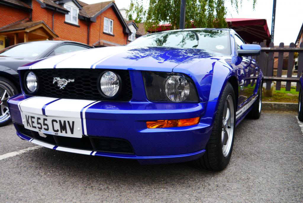 Name:  P1050064_zps3a3768a8.jpg
Views: 112
Size:  123.5 KB