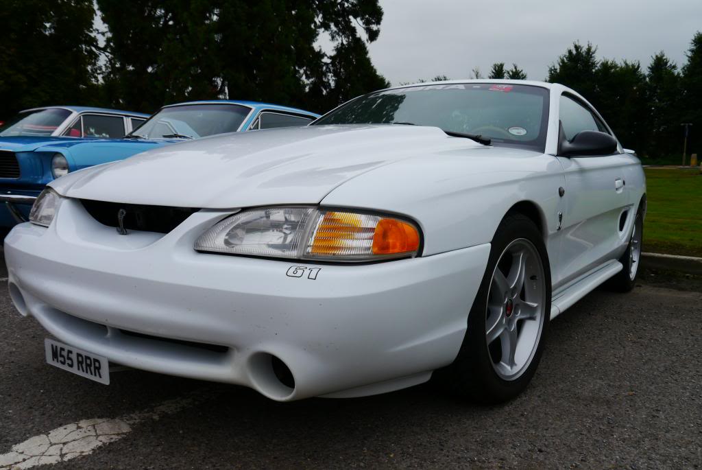 Name:  P1050065_zps34b6d2ae.jpg
Views: 106
Size:  79.6 KB